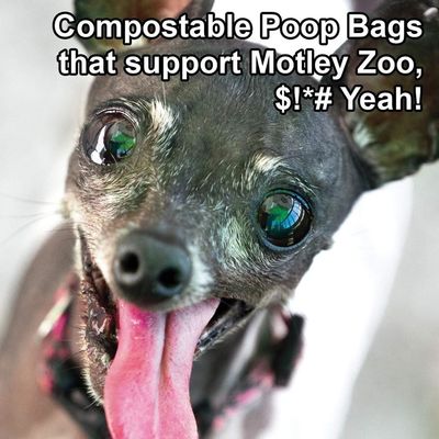 Poop Bag Recycled 9x13 pet products 2020 doggie biodegradable poo bags scent dog poop bag