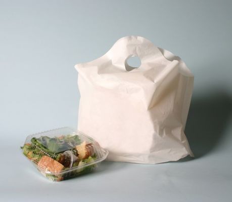 Non Toxic Custom Logo Reusable Shopping Bags For Supermarket Promotion